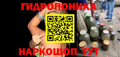 стафф Нальчик